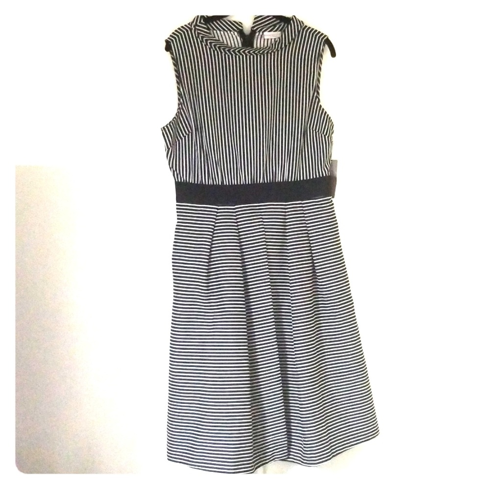Black and white  striped  dress